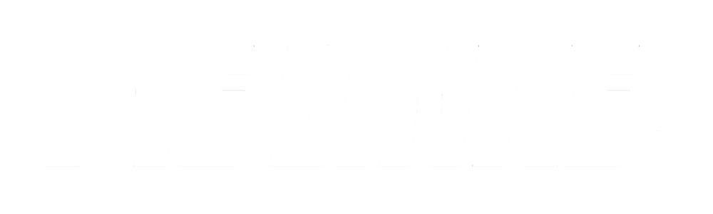 logo dielinke weiss